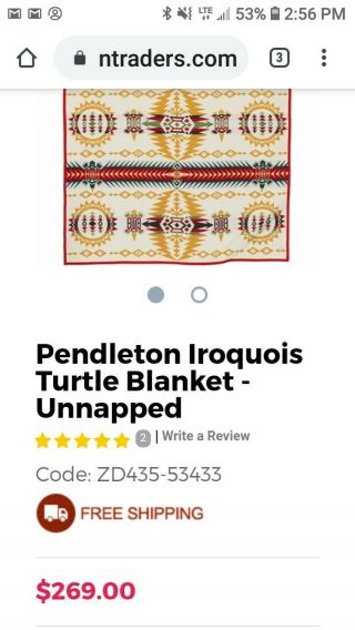 Pendleton blanket wool - Iroquois turtle twin 2