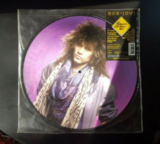 Bon Jovi Slippery When Wet Picture Disc Vinyl Lp Exc