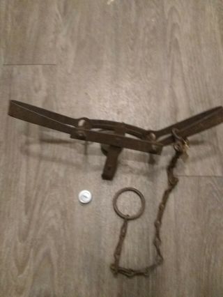 Vintage Newhouse No 4 Beaver Trap Hunting - Trapping Double Long Spring Trap