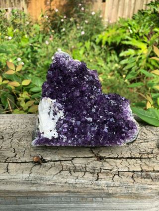 Captivating Grade A Large Uruguayan Amethyst Cluster - 2lb 1oz - With Calcite