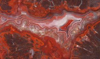 Rock Slab Mexican Crazy Lace Agate - Splendid Colors,  Intricate Patternl
