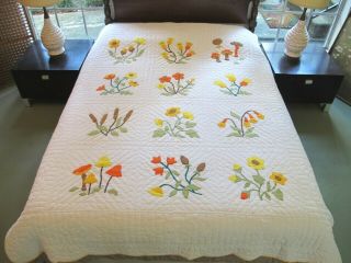 Outstanding Vintage 1968 Signed Hand Sewn Applique Quilt W/ Flowers