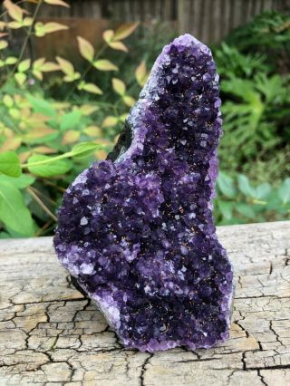 Captivating Uruguayan Amethyst Cluster 1lb 4oz - 5 Inches Tall
