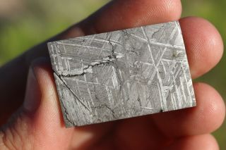 Muonionalusta Meteorite Etched Part Slice 18.  4 Grams