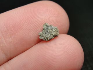 Meteorite Nwa 6963 Achondrite Martian Shergottite - G201 - 0348 - 0.  16g - Great 1