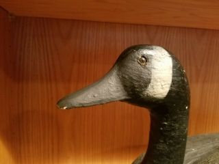 Old 1940s Waseca Minnesota Herters Canadian Goose Wood Duck Decoy 2