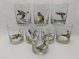 Ned Smith Duck Glasses Waterfowl Set Of 8 Old Fashioned Rocks Gold Trim Barware