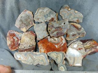 Mexican Crazy Lace Agate Slabs