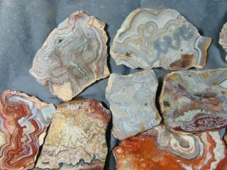 mexican crazy lace agate slabs 2