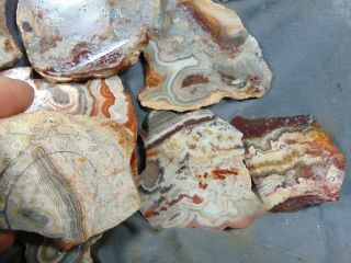 mexican crazy lace agate slabs 3