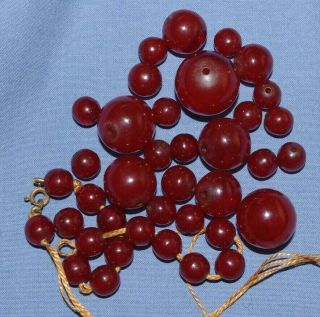 Fine Antique Art Deco Cherry Amber Bakelite Round Bead Necklace - 52.  8 Grammes