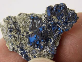 Covellite Crystals - 2.  7 Cm - Leonard Mine,  Butte,  Montana 22723