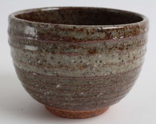 Mino Ware Japanese Pottery Large Bowl Cedar Brown Stripe (matcha/rice Bowl)