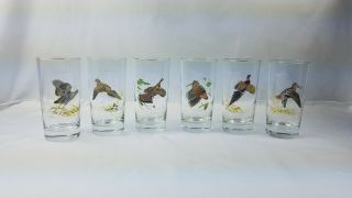 Set Of 6 Vintage " Ned Smith " Waterfowl Highball Glasses - Gold Rim
