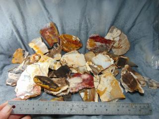 Cabbing Grade Petrified Wood Slabs Opal And Agate 3 Lbs