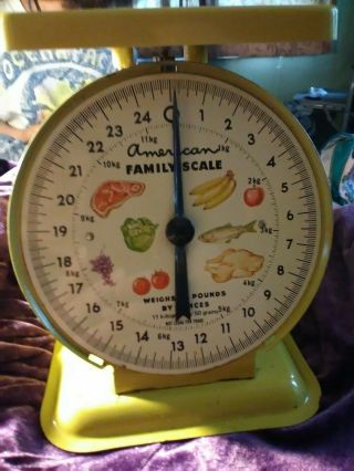 Vintage American Family Scale Old Farm 25 Lb Metal Kitchen Scale Yellow