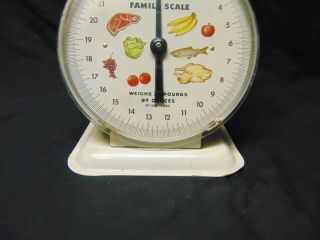 Vintage American Family Scale 0 - 25 pounds White color metal pictures of food USA 3