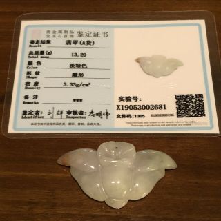 Chinese Jade Cicada Certified Pendant Asian Jewelry Jadeite Or Nephrite $400