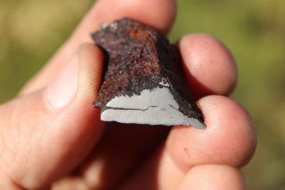 Canyon Diablo Meteorite End Cut 8.  6 Grams