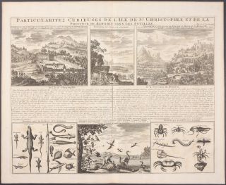 Chatelain - View Of St.  Kitts & Curiosities - 1718 Atlas Historique Engraving
