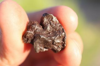 Sikhote Alin Meteorite Individual 7.  1 Grams