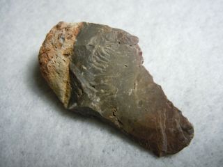 Handy Little Flint Stone Knife Cutter Artifact Kansas River As Found 10.  8 Grams