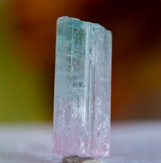 Wow Blue Pink Tourmaline Crystal Specimen