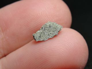 Meteorite Nwa 6963 Achondrite Martian Shergottite - G201 - 0350 - 0.  20g - Great 1