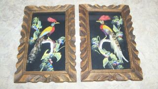 2 Vintage Mexican Feather Art Bird Wooden Framed Pictures Mexico Folk Artwork