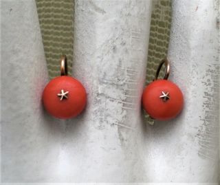 Antique Victorian 14k Gold Mediterranean Red Coral Cabochon Leverback Earrings