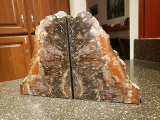 Petrified Wood Bookends - Polished Felted -