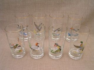 Set Of 8 Vintage Ned Smith Waterfowl Duck 5 1/2 " Gold Rim Drinking Glasses