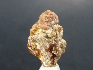 Large Rare Twin Monazite - Ce Crystal From Brazil - 0.  6 " - 2.  1 Grams
