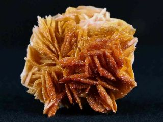 Sparkly Red Vanadinite Crystals On Orange Barite Blades Mineral Morocco 1.  4 Oz