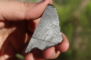 Muonionalusta Meteorite Etched Part Slice 14.  2 Grams