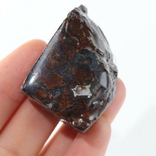 43g Rare Slices Of Kenyan Pallasite Olive Meteorite A4347