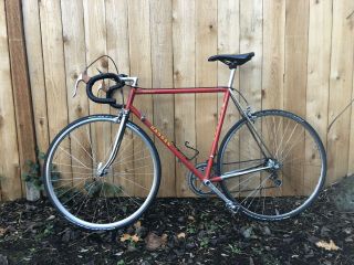 Vintage Red Paolo Bassan Race Bike,  12 Speed,  57cm,  Well Maintained And Serviced