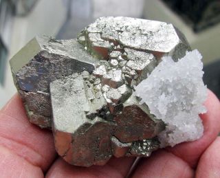 Pyrite Octahedral Crystals And Quartzs On Matrix From Peru. .  Huanzala Mine