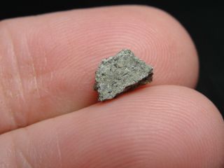 Meteorite Nwa 6963 Achondrite Martian Shergottite - G201 - 0330 - 0.  24g - Great 1
