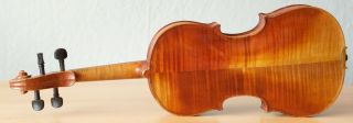 Very Old Labelled Vintage Violin " Giacomo Gerani " Fiddle 小提琴 ヴァイオリン Geige