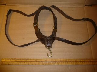 Antique Leather And Brass Instrument Harness Made By Douglas & Son,  Glasgow