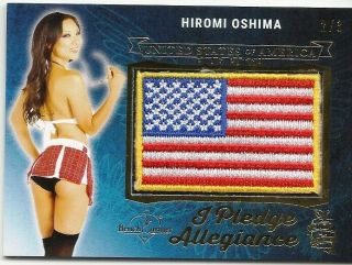 Hiromi Oshima 2018 Benchwarmer Pledge Allegiance Flag Patch Gold Foil Sp 2/3