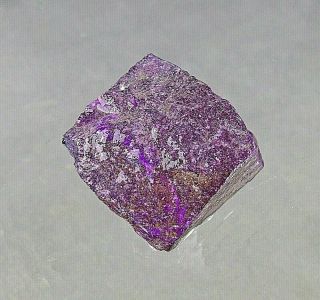 dkd 77CS/ 16.  3grams Purple Sugilite rough 3
