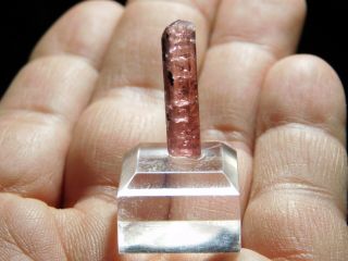 A 100 Natural Terminated RUBELLITE Tourmaline Crystal on a Stand Brazil 1.  64 e 2