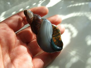 Antique Victorian Scottish Natural Agate Silver Shell Brooch