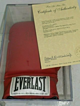 Cased Boxing Glove Signed By Muhammad Ali With Certificate Autograph