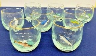 Rare Vintage Ned Smith Hand - Painted & Signed Saltwater Fish Glassware | Set Of 8