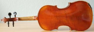 Very Old Labelled Vintage Violin " Nicolaus Amatus " Fiddle 小提琴 ヴァイオリン Geige