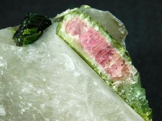 Two Natural Watermelon Tourmaline Crystals On A Quartz Matrix Brazil 186gr E