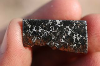 Admire Meteorite Pallasite End Cut 3.  9 Grams
